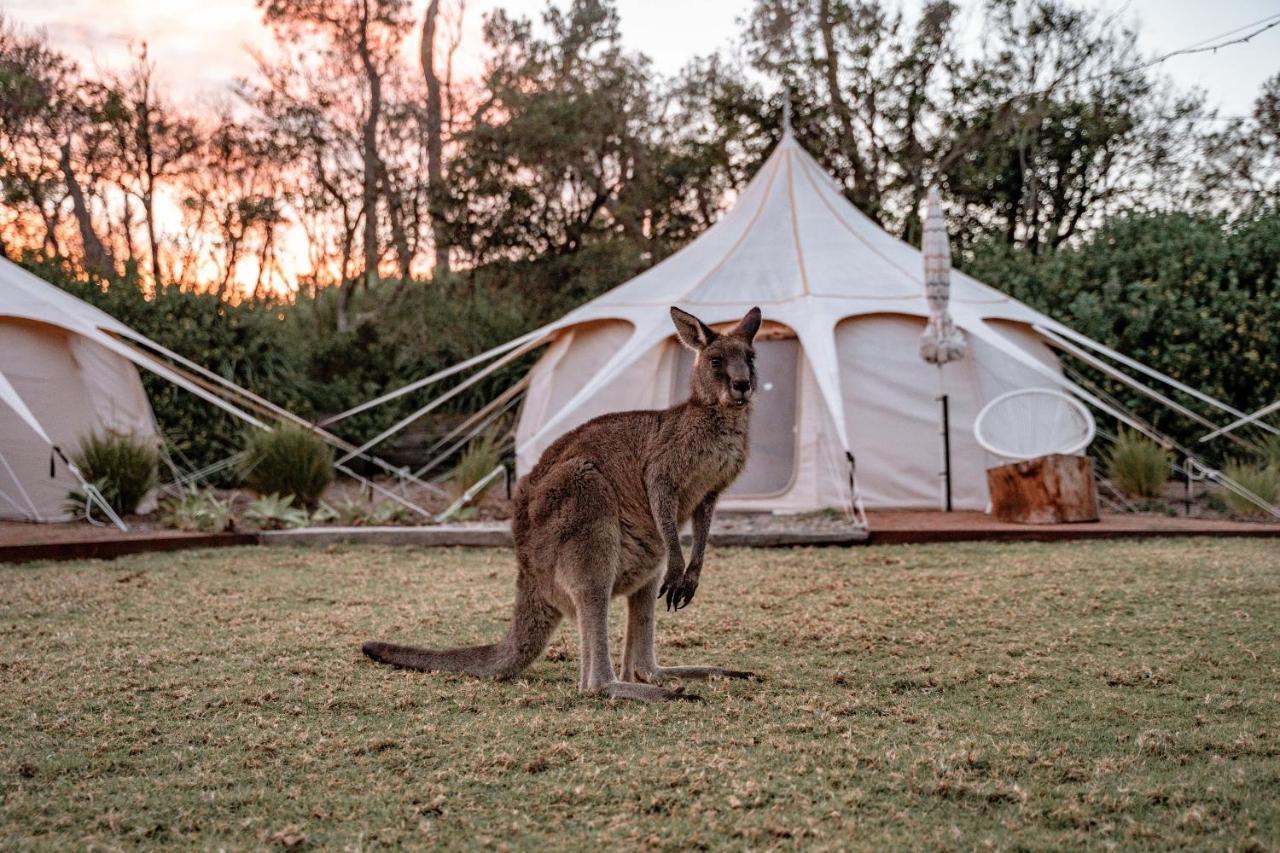 The Cove Jervis Bay Villa Ngoại thất bức ảnh